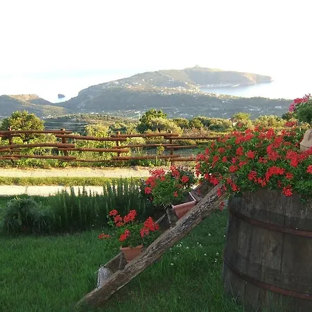 Il Castello Di San Sergio 4* צ'נטולה