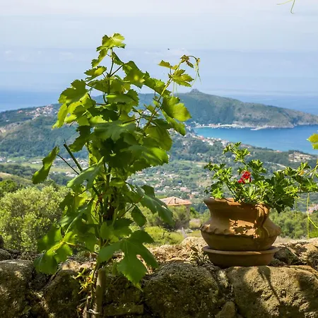Il Castello Di San Sergio Centola